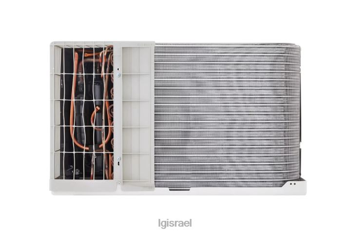 מזגן| LG מזגן 10,000 btu 230v דרך הקיר עם חום 6TDNN38